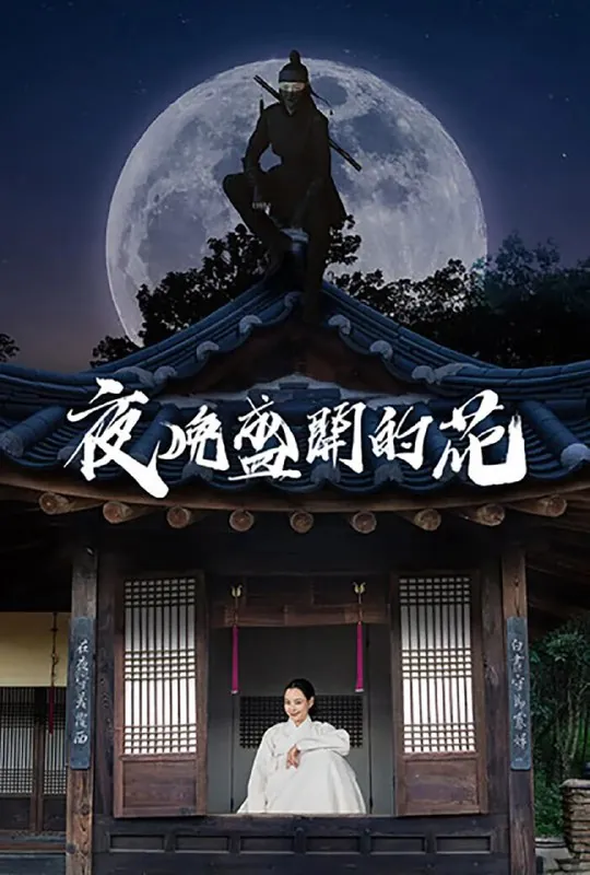 夜晚开的花