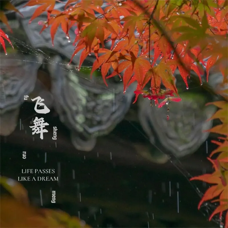 王冰洋飞舞