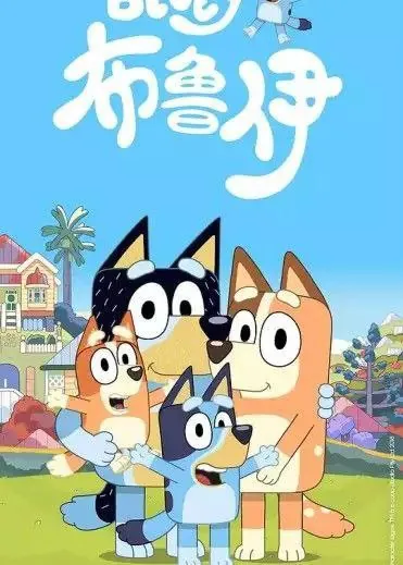 布鲁伊