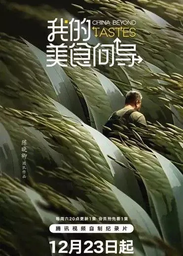 我的美食向导